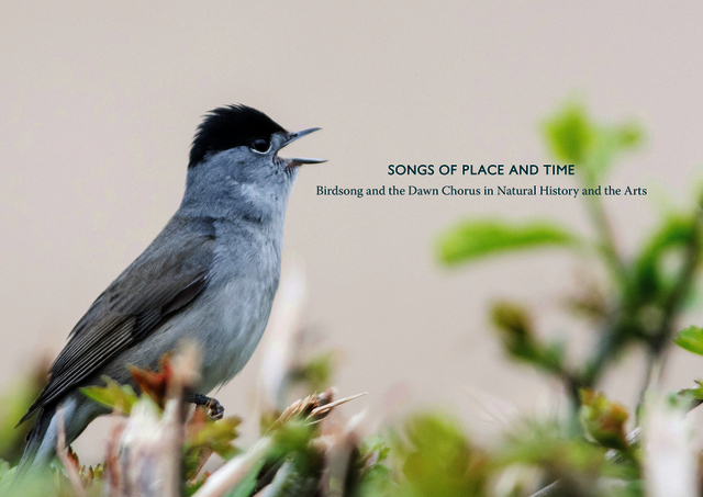 Songs of place and time [Research Portfolio]