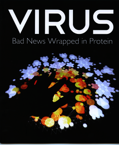 Virus – bad news wrapped in protein: Exhibition at St Johns College, Oxford 
9 September 2010 - 9 October 2011