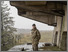 [thumbnail of Terry, 2025 (copyright Johannah Churchill)]