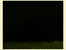 [thumbnail of Broeg_Grasses_IsolationMeadows]