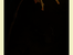 [thumbnail of Broeg_Grasses_Isolationen_Wilderness]