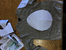 [thumbnail of Broeg_Coop_Suzusan_12]